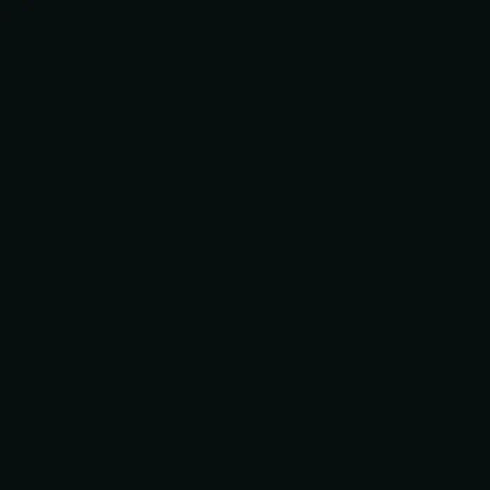 N61 Black epoxy flake swatch
